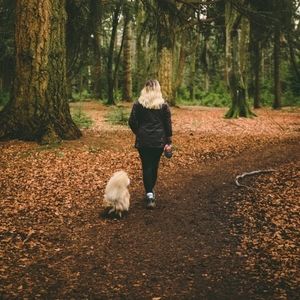 Meet your Posher, Lawrence